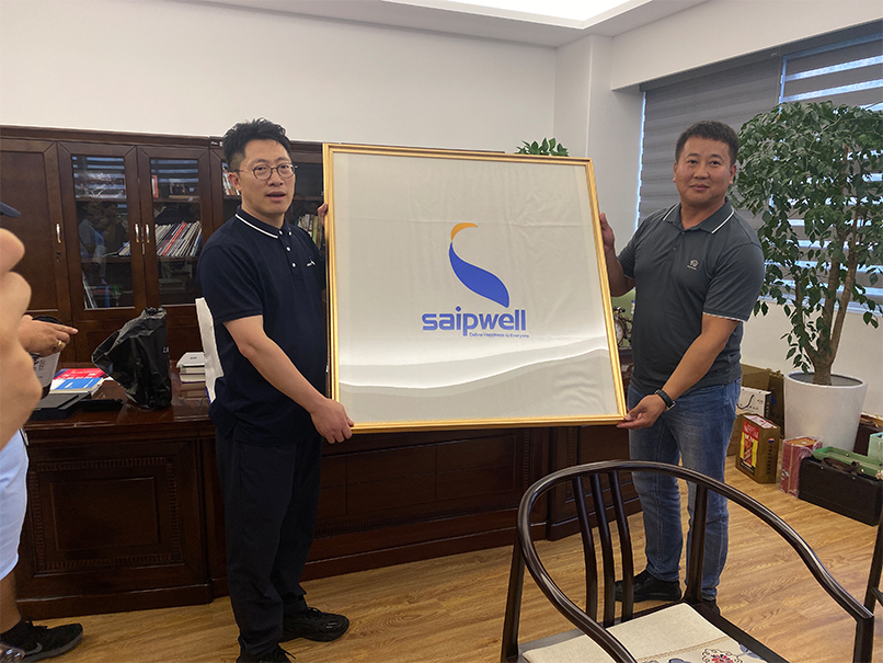 Saipwell Collaborating with Mongolian Client HTL LCC to Boost Mongolian Hydropower Control Development